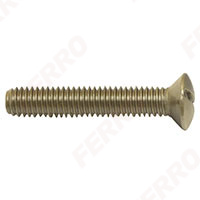 Stainless washbasin screw M6x60