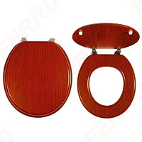 Toilet seat
