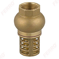 Check valve with suction basket