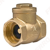 Check valve with flap