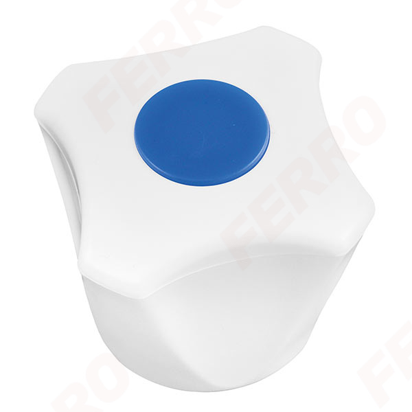 Mixer handle, blue cap