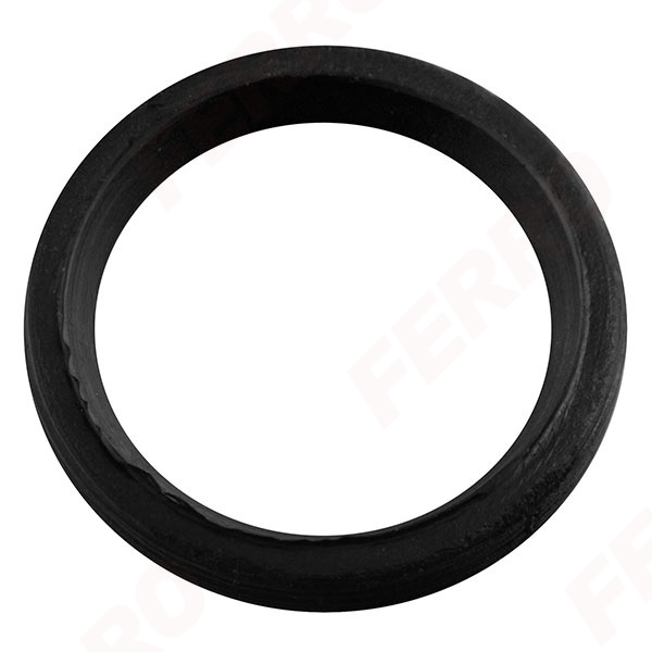 Lip sealing ring