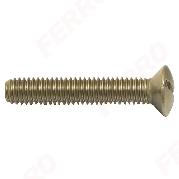 Stainless sink screw M6x30