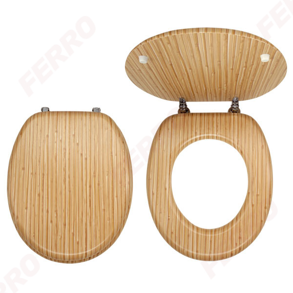 Toilet seat