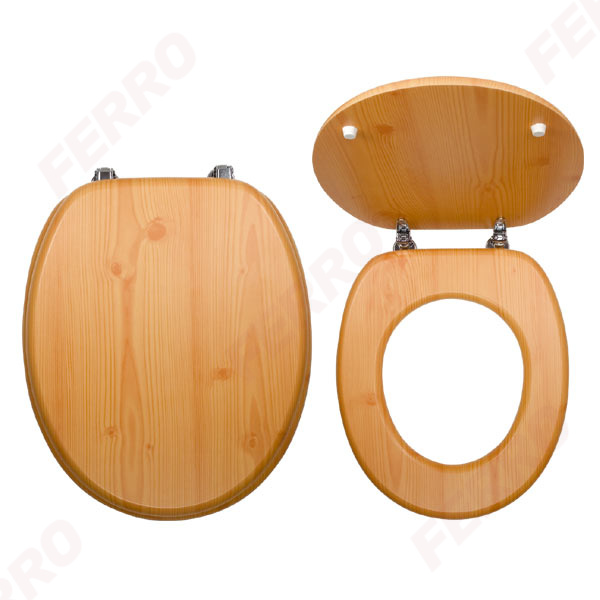 Toilet seat