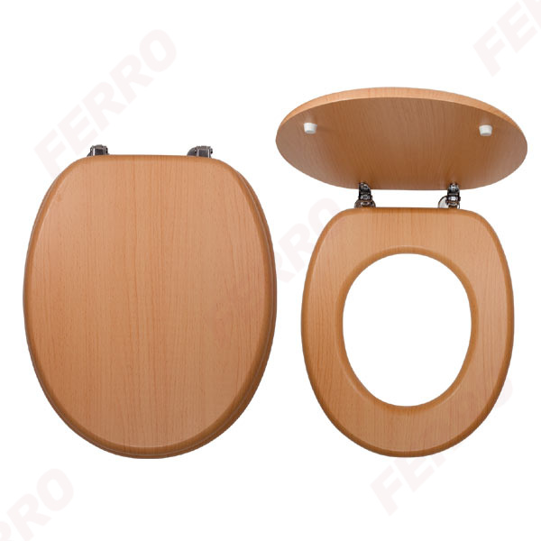 Toilet seat