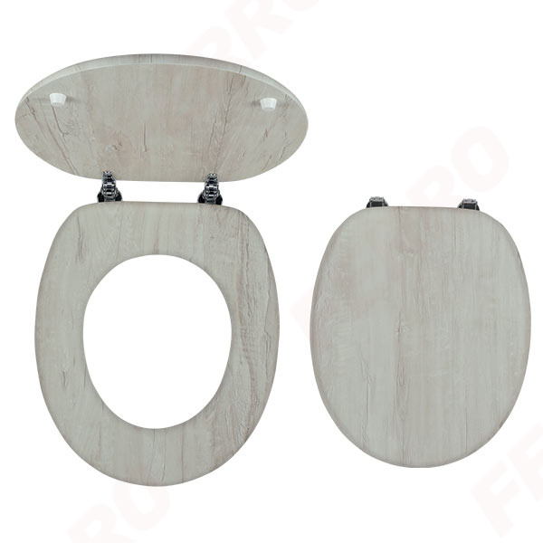 Toilet seat