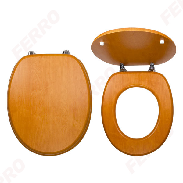 Toilet seat