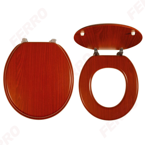 Toilet seat