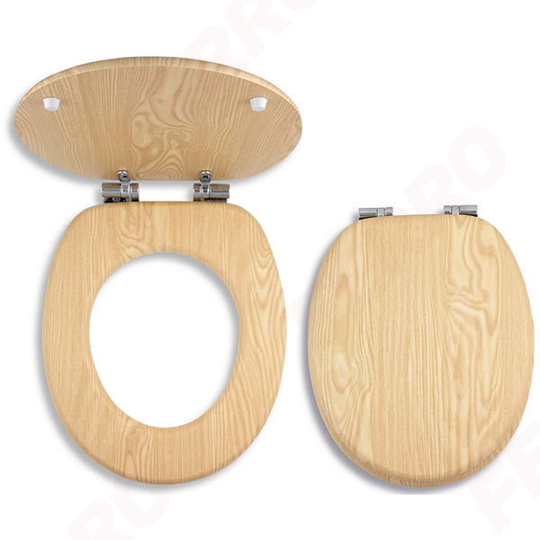 Toilet seat