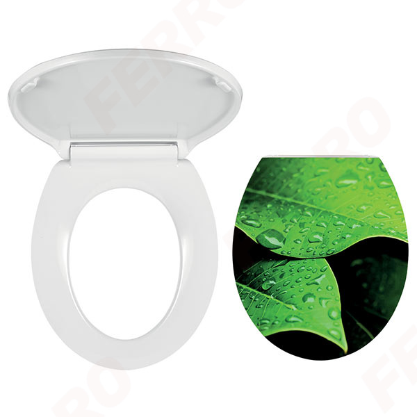 Toilet seat, printing