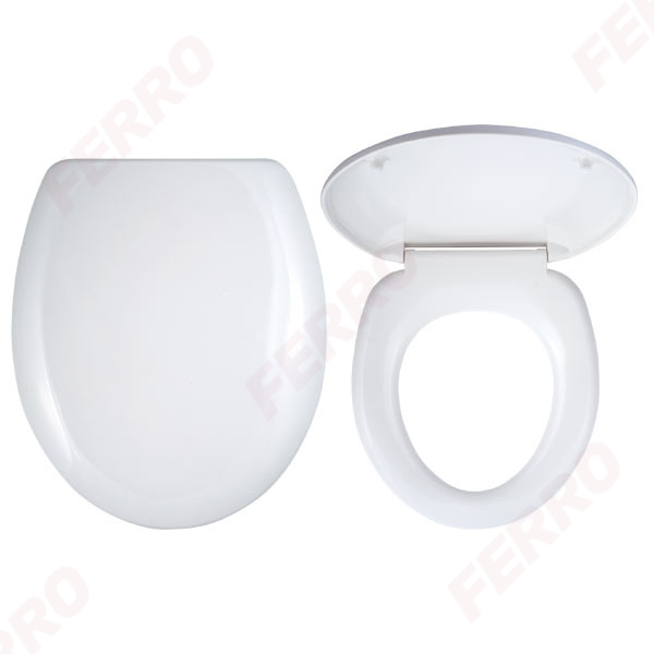 Toilet seat, white