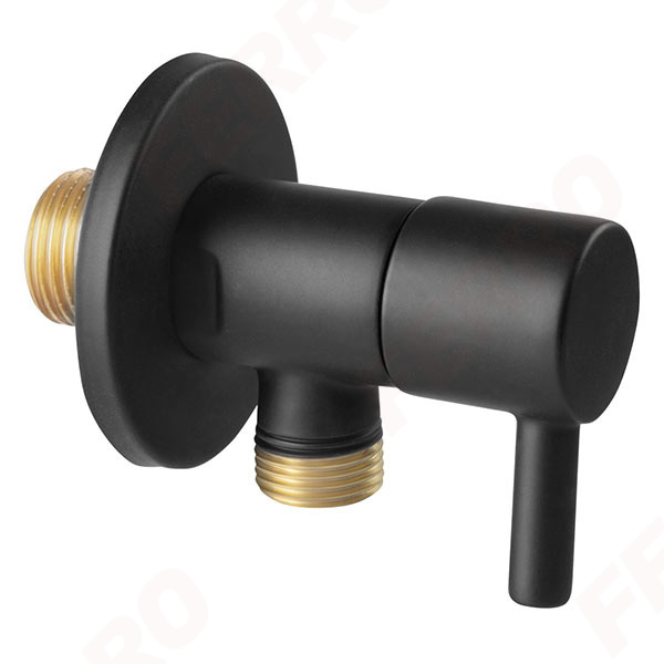 Angle valve with ceramic head and rosette