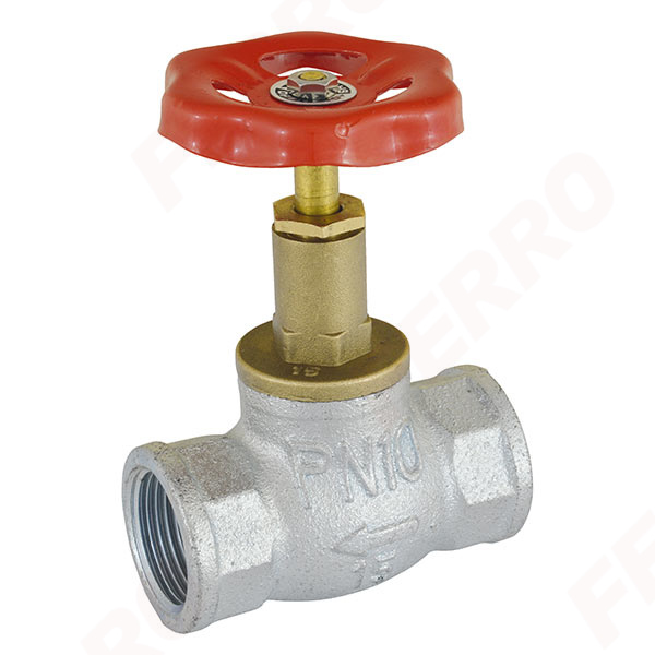 Iron poppet valve