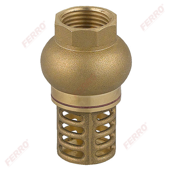 Check valve with suction basket