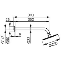 Set cap fix de dus - brat si cap de dus Slimline