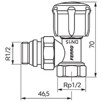 Angle radiator control valve