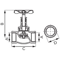 Poppet type cast iron valve