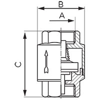 Check valve with plastic locking element