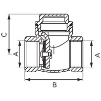 Flap check valve