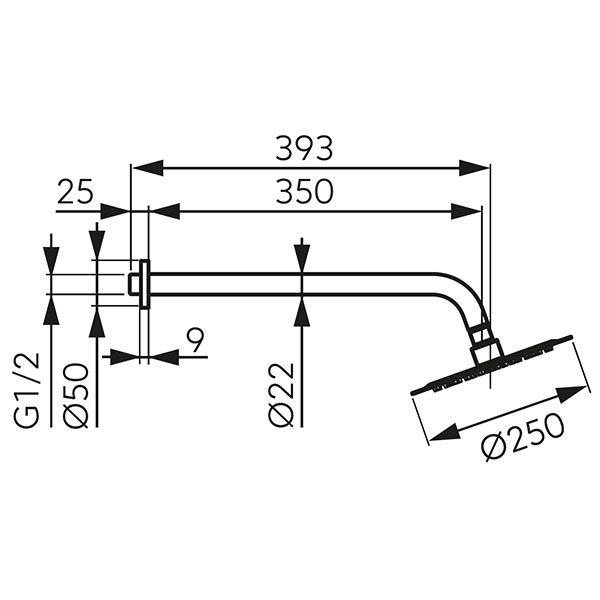 Set cap fix de dus - brat si cap de dus Slimline