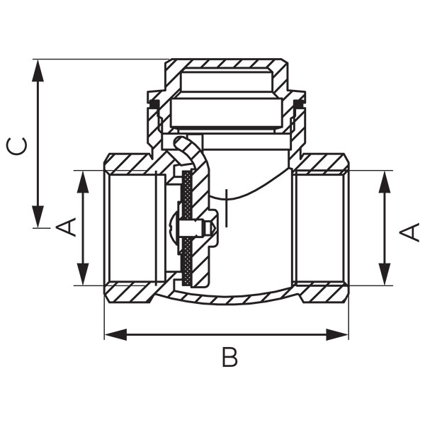 Flap check valve