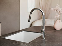 Liquid - Standing sink mixer, 2-functions pull-out spouts