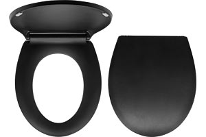 Toilet seat, black